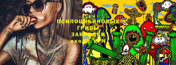 прущий лед Абаза