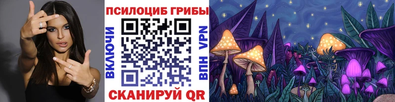 МЕГА маркетплейс Сысерть Псилоцибиновые грибы мицелий