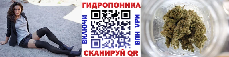 Марихуана сатива  Сысерть 